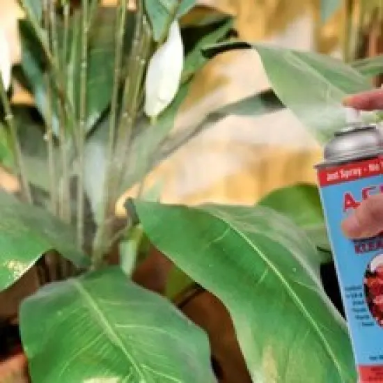 2-Pack: Artificial Plant & Flower Aerosol Cleaner Spray, 14.5OZ , Floral Home by Artificial Flowers {3}