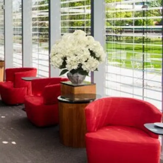 Cream Hydrangea Bush - 20-Inch Lifelike Silk Flowers with UV Resistance for Indoor and Outdoor Decor | Floral Home by Artificial Flowers {2}