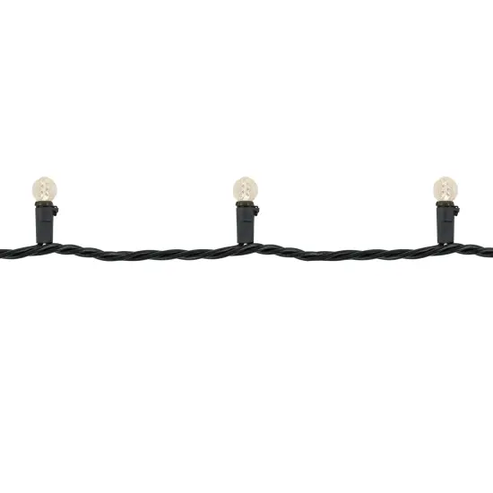 Northlight LED G12 Berry Christmas Lights - Warm White - 16' Black Wire - 50ct {6}