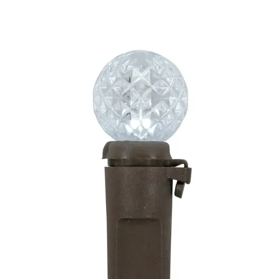 Northlight LED G12 Berry Christmas Lights - Pure White - 16' Brown Wire - 50ct {5}