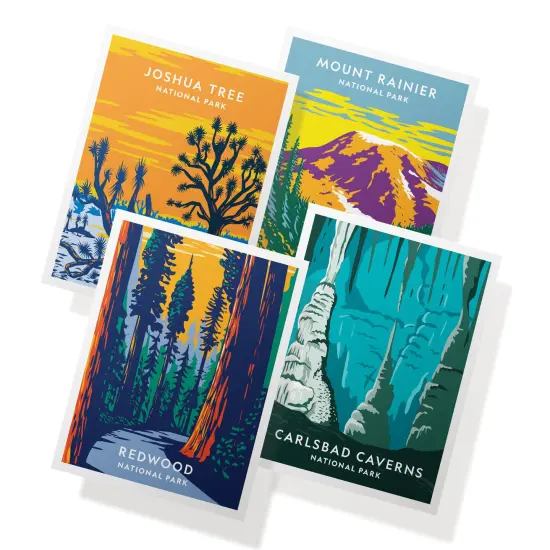 Twigs Paper - Assorted Art National Parks Greeting Cards - Stationery Cards with Envelopes - Thank You and Blank Note Cards - Greeting Cards for All Occasions - Made in USA (5.5 x 4.25, Set of 12) {1}