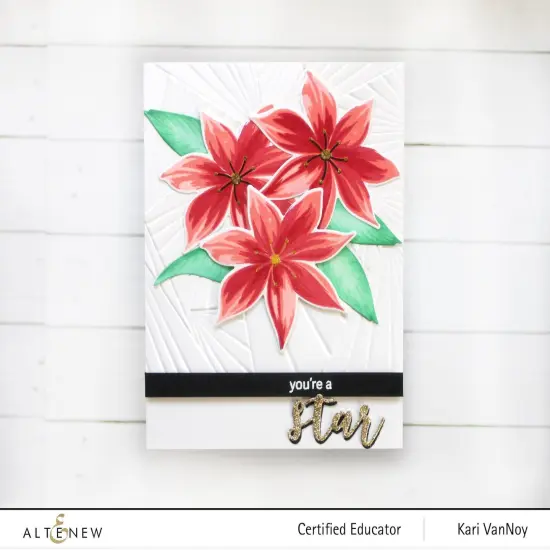 Cross Weaves 3D Embossing Folder {3}