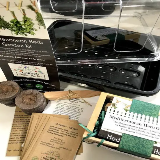 Mediterranean Herb Garden Collection {6}