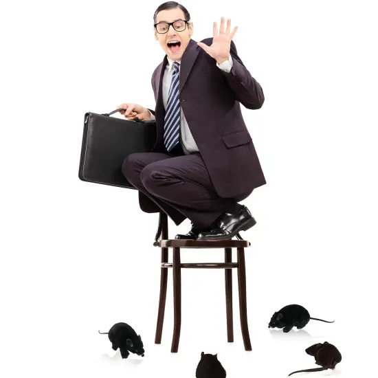 Realistic Black Prank Rat - Real Looking Scary Plush Fake Black Rat Animal Toy Gag Gift {3}