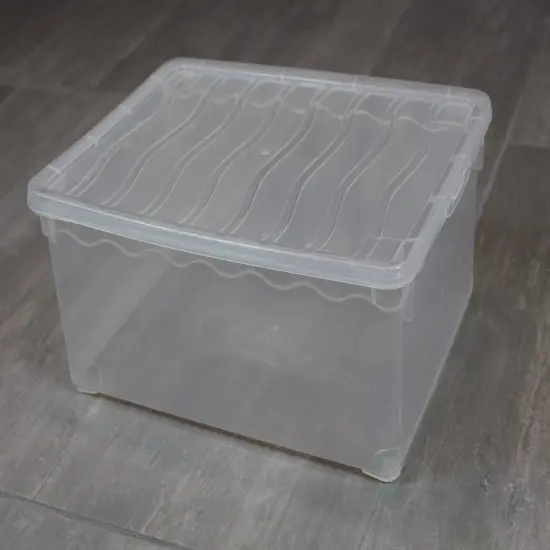 Plastic Storage Container, Shoe box {2}