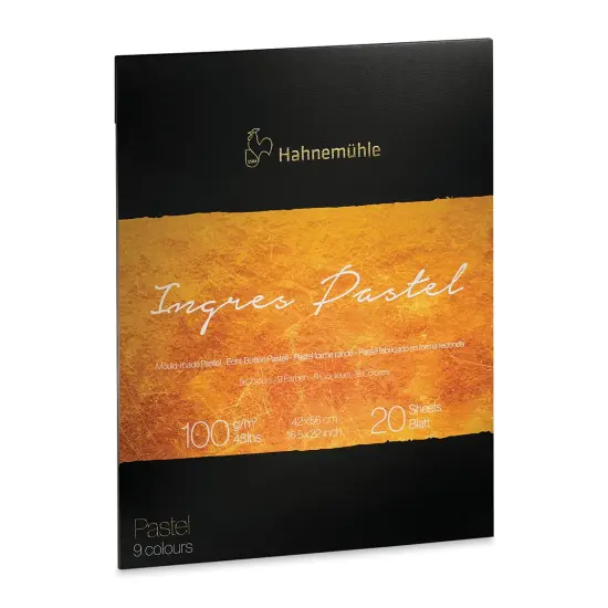 Hahnemuhle Ingres Pad - 16.5" x 22", Assorted, 20 Sheets {2}
