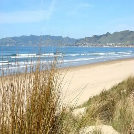 Beach Sage & Mint Fragrance Oil (Our Version of the Brand Name) (8 oz Bottle) for Candle Making, Soap Making, Tart Making, Room Sprays, Lotions, Car Fresheners, Slime, Bath Bombs, Warmers&hellip; {2}