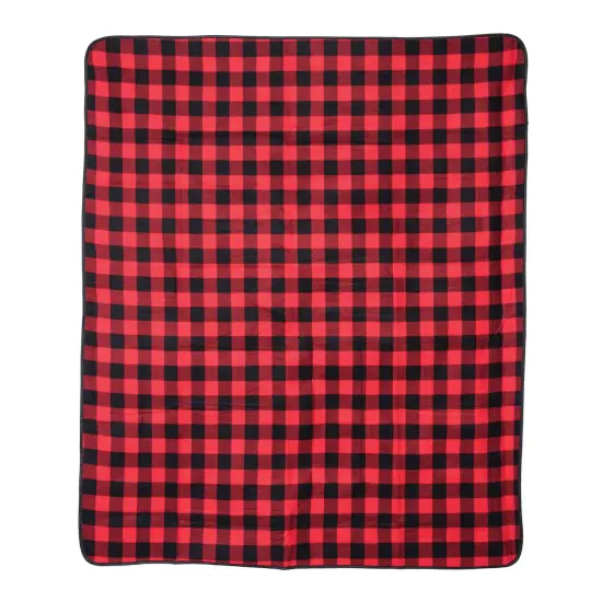 Buffalo Check Picnic 50" x 60" Throw Blanket {1}