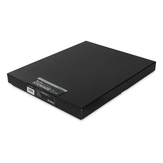 Blick Archival Storage Box - 16" x 20" x 2", Black {1}