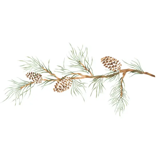 Pinecone Branch Wall Stencil | 3233 by Designer Stencils | Animal & Nature Stencils | Reusable Art Craft Stencils for Painting on Walls, Canvas, Wood | Reusable Plastic Paint Stencil for Home Makeover | Easy to Use & Clean Art Stencil {1}