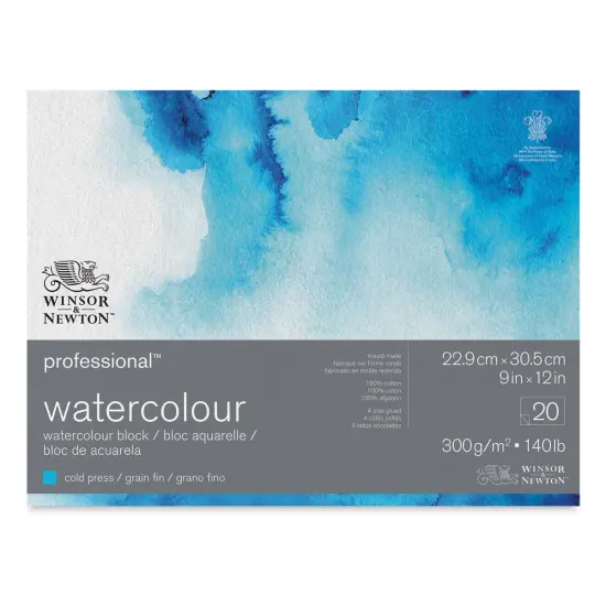 Winsor & Newton Professional Watercolor Block - 9" x 12", Cold Press {1}