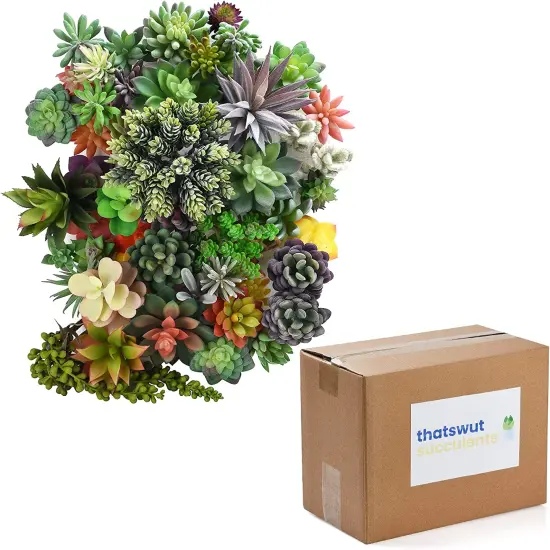 50 Pack Bulk Large Assorted Realistic Artificial Faux Succulents Aloe Plants Realistic Fake Succulent Plants, Largest Set of Succulents {2}
