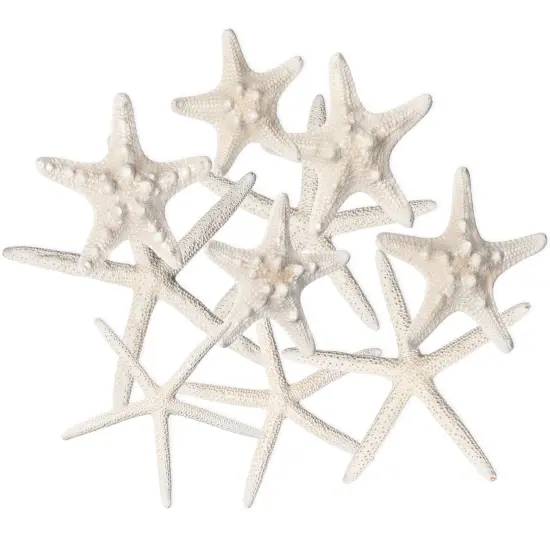 Starfish 10 Pack Assorted White Finger and Knobby Starfish 2"-6" for Craft and Décor {1}