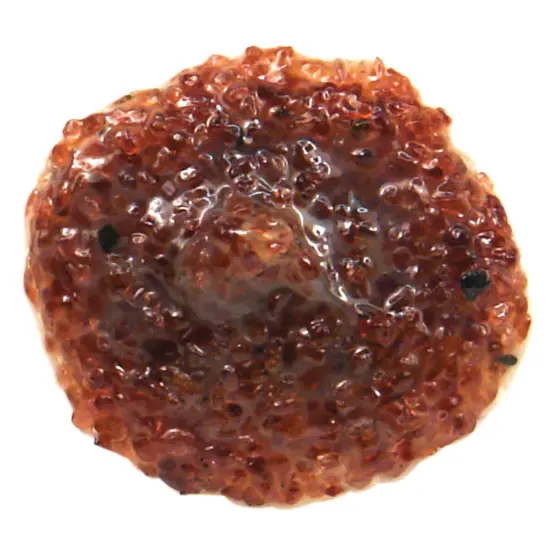 Golden Acrylic Retarder - 8 oz bottle {2}