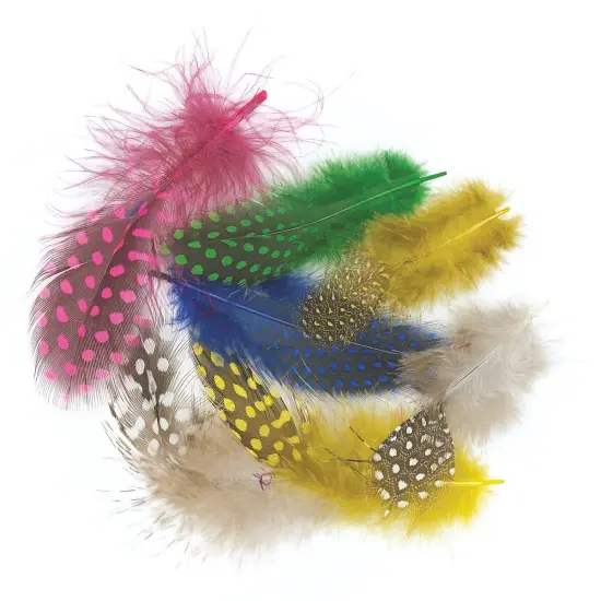 Creativity Street Spotted Guinea Feathers - Assorted Colors, Bag of Approx 875 pieces {2}