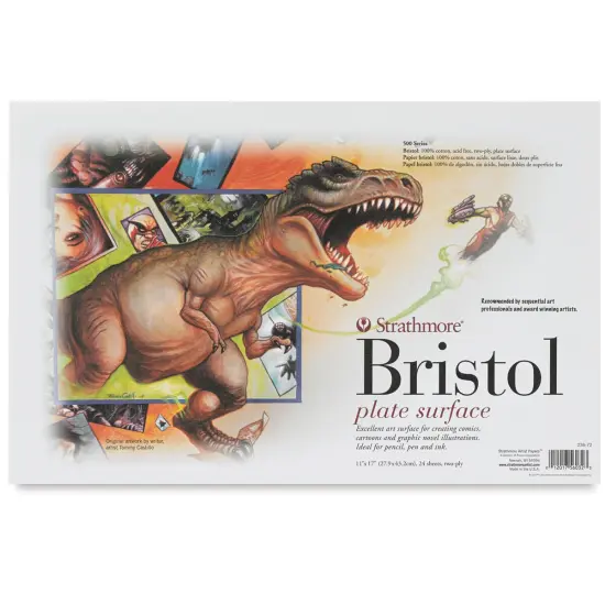 Strathmore 500 Sequential Series Bristol - 11" x 17", Plate, 24 Loose Sheets {2}