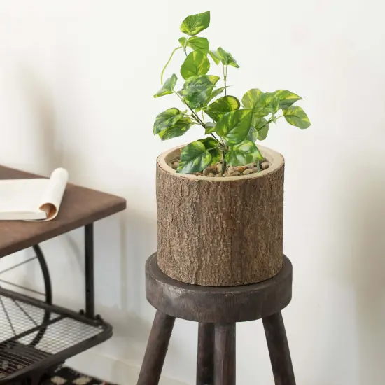 Wooden Stump Tree Branch with Bark Succulent Planter Pot Flower Shelf {6}