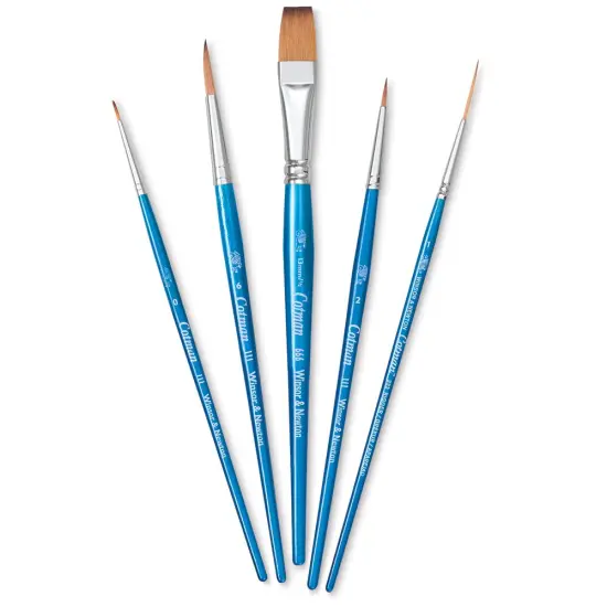 Winsor & Newton Cotman Watercolor Brush Set - Set D, Set of 5, Short Handle {1}