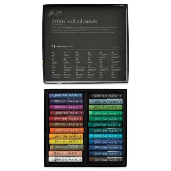 Mungyo Gallery Artists' Soft Oil Pastels - Set of 24 {1}