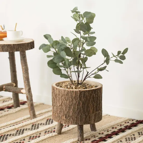 Wooden Stump Tree Log with Bark Planter Pot with Small Tree Branch Legs {2}