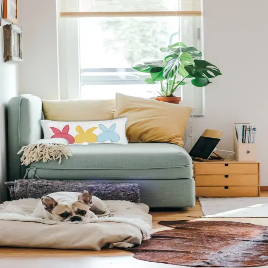 Easter Spring Themed Bunny Bum Spring Applique Small/Petite Accent Pillow, 10" x 20" {3}