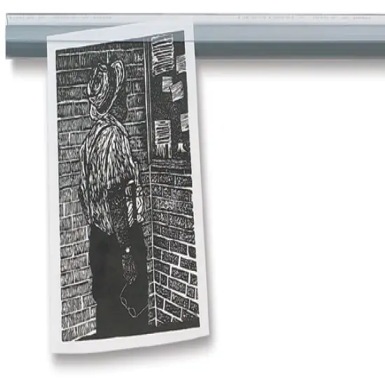 Ghent Hold Up Display Rail - 48" {1}