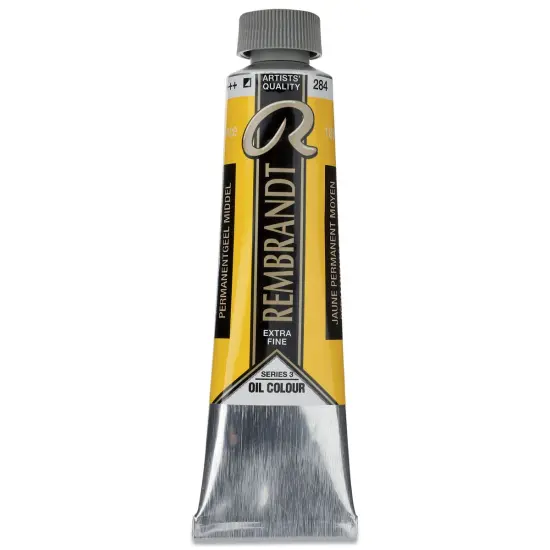 Rembrandt Artists' Oil Color - Permanent Yellow Medium, 40 ml tube {1}