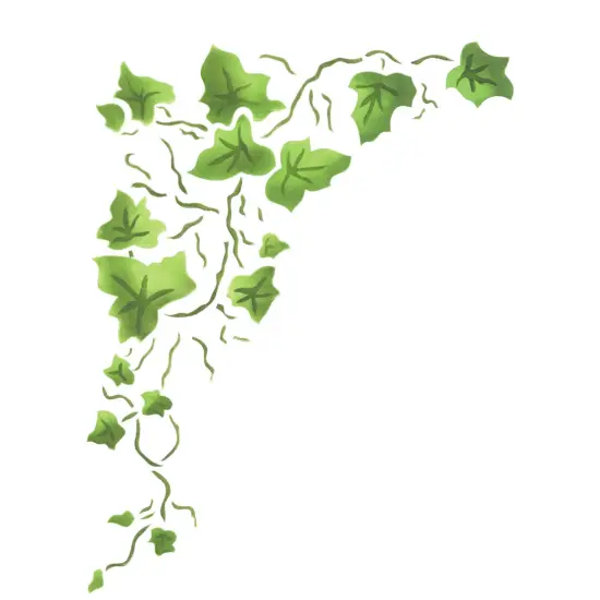 Large Corner Ivy Wall Stencil | 310C by Designer Stencils | Floral Stencils | Reusable Art Craft Stencils for Painting on Walls, Canvas, Wood | Reusable Plastic Paint Stencil for Home Makeover | Easy to Use & Clean Art Stencil {1}