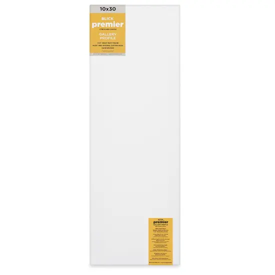 Blick Premier Stretched Cotton Canvas - Gallery Profile, Splined, 10" x 30" {1}