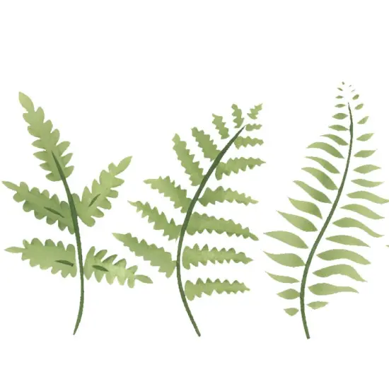 Fern Leaves Wall Stencil | 995 by Designer Stencils | Floral Stencils | Reusable Easy to Use & Clean Art Stencil {2}