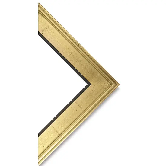 Blick Simplon Frame with Liner - 8" x 10" x 5/16", Gold/Black {1}