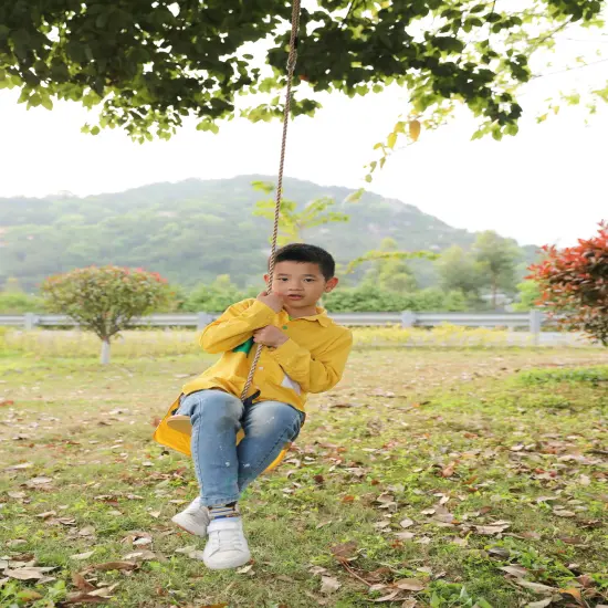 Wooden Round Disc Plate Swing Seat With Hanging Rope {4}