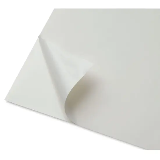 Crescent Mounting Board - 16" x 20", Double, White, Self-Adhesive {1}