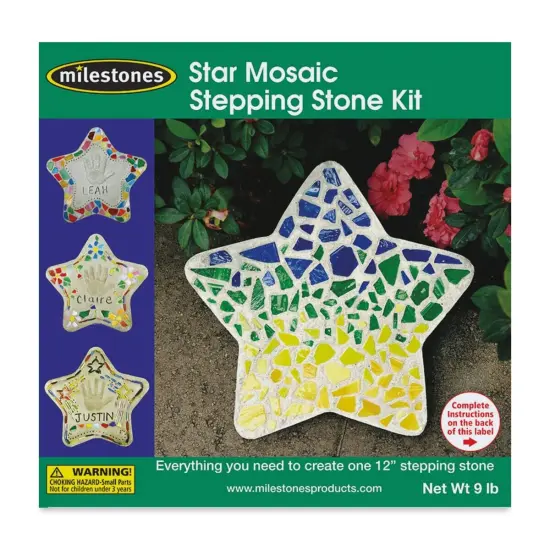 Milestones Mosaic Stepping Stone Kit - Star {1}