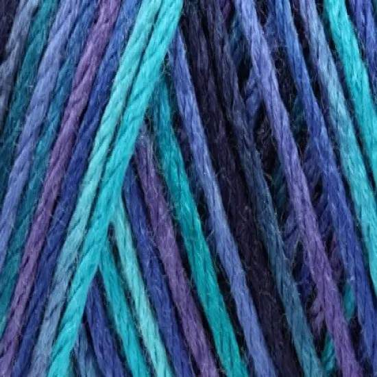 Multipack of 24 - Caron Simply Soft Paints Yarn-Oceana {4}