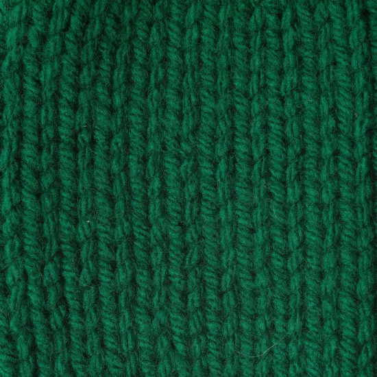 Multipack of 12 - Caron One Pound Yarn-Kelly Green {4}