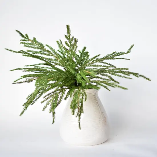 20" Faux Green Norfolk Pine Bush {1}