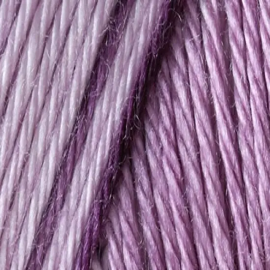 Multipack of 24 - Caron Simply Soft Ombres Yarn-Grape Purple {3}