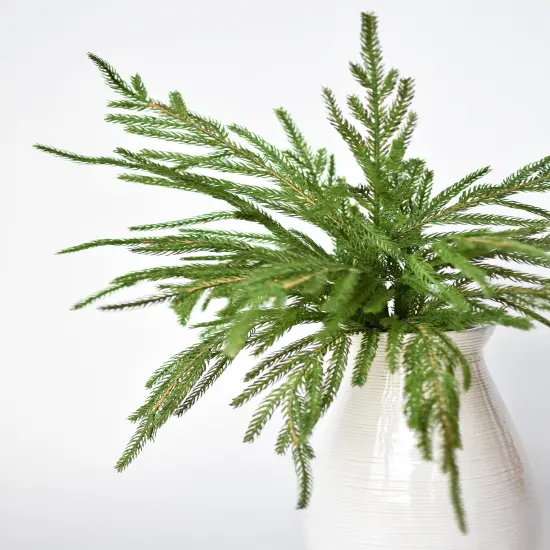 20" Faux Green Norfolk Pine Bush {4}