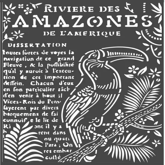 Stamperia Stencil 7.87"X9.84"-Toucan, Amazonia {1}