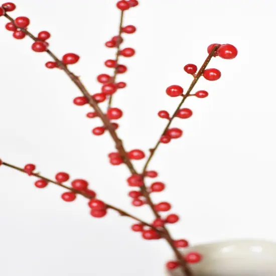 Faux Outdoor Red Berry Stem ( Available in 2 sizes) {5}
