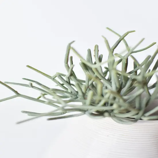 8" Faux Soft Touch Green/Gray Pencil Cactus Pick {1}