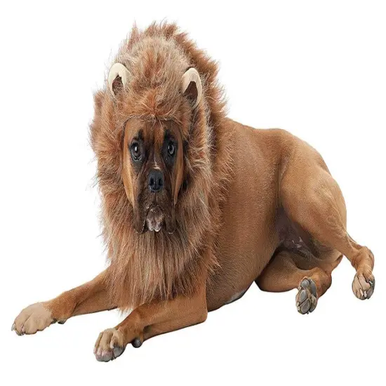 King of the Jungle Lion Dog Costume {2}