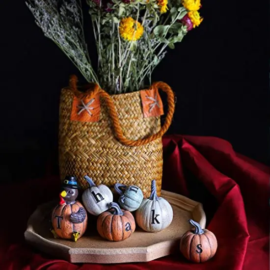 Thanksgiving Decorations Hand-Painted Turkey Pumpkin with Engraved Thanks, Set of 6 Tabletop Fall Autumn Decor for Living Room Bedroom Kitchen Thanksgiving Harvest Day {3}