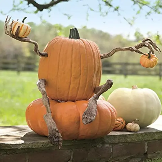 Plow & Hearth Set of 4 Bendable Pumpkin Arms and Legs | Create Whimsical Halloween Decor | Spooky Vine Design | Includes 2 arms and 2 Legs {5}