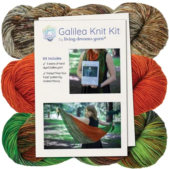 Living Dreams Yarn Galilea Shawl KNIT KIT. Includes Three Complementing Skeins of Hand Dyed Superwash Merino Yarn + Famous Free Your Fade Knitting Pattern. Gemini {1}