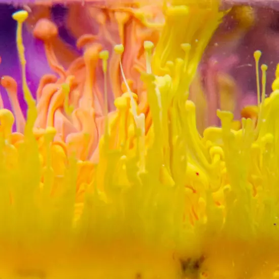 Alcohol Ink Sinker {4}