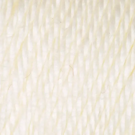 (Pack of 3) Caron Simply Soft Solids Yarn-Off White {3}