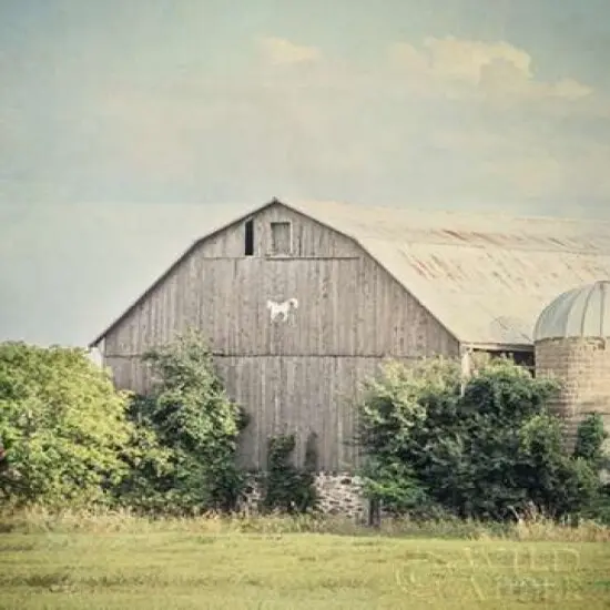 Late Summer Barn II Crop Poster Print by Elizabeth Urquhart - Item # VARPDX30334 {2}