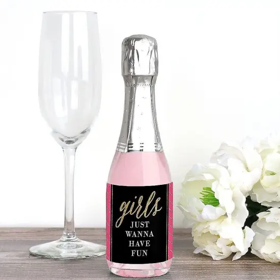 Big Dot of Happiness Girls Night Out - Mini Wine and Champagne Bottle Label Stickers - Bachelorette Party Favor Gift for Women and Men - Set of 16 {4}